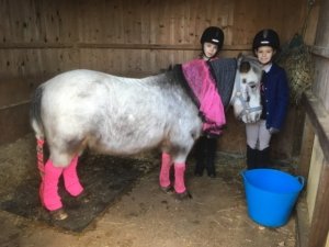 Pony Club members with Boston